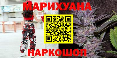 индика Пугачёв